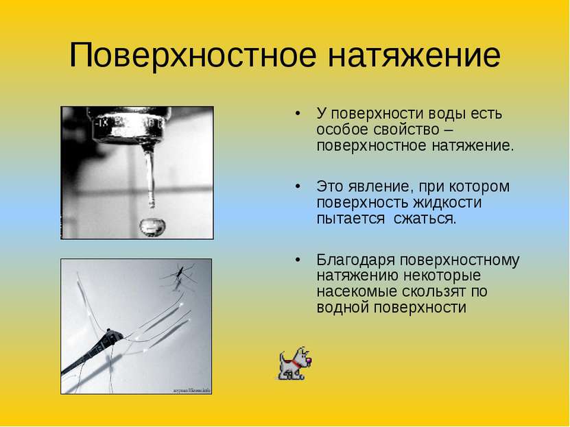 Поверхностное натяжение У поверхности воды есть особое свойство – поверхностн...