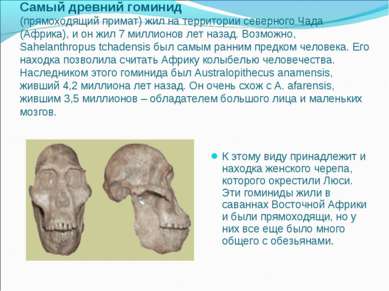 Самый древний гоминид (прямоходящий примат) жил на территории северного Чада ...