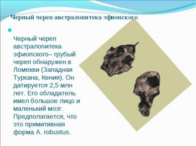 Черный череп австралопитека эфиопского– грубый череп обнаружен в Ломекви (Зап...
