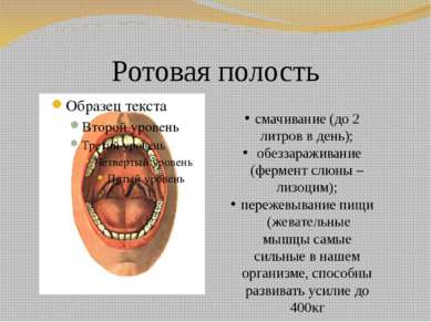 Ротовая полость смачивание (до 2 литров в день); обеззараживание (фермент слю...