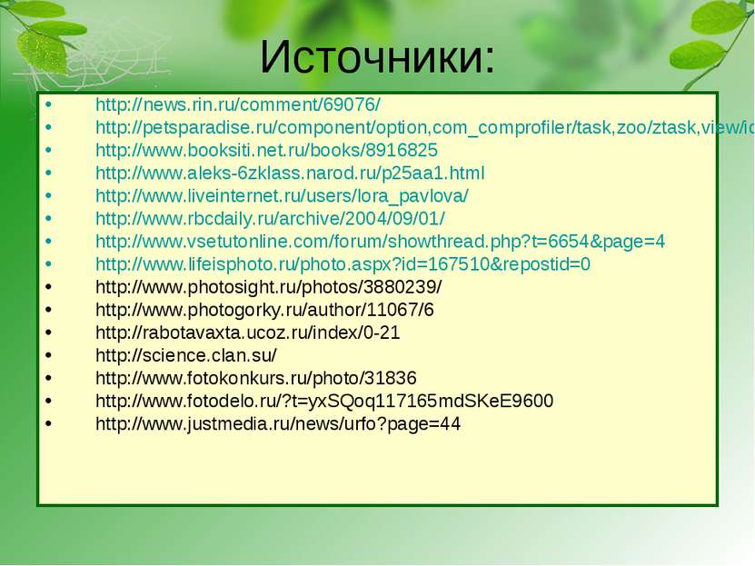 Источники: http://news.rin.ru/comment/69076/ http://petsparadise.ru/component...
