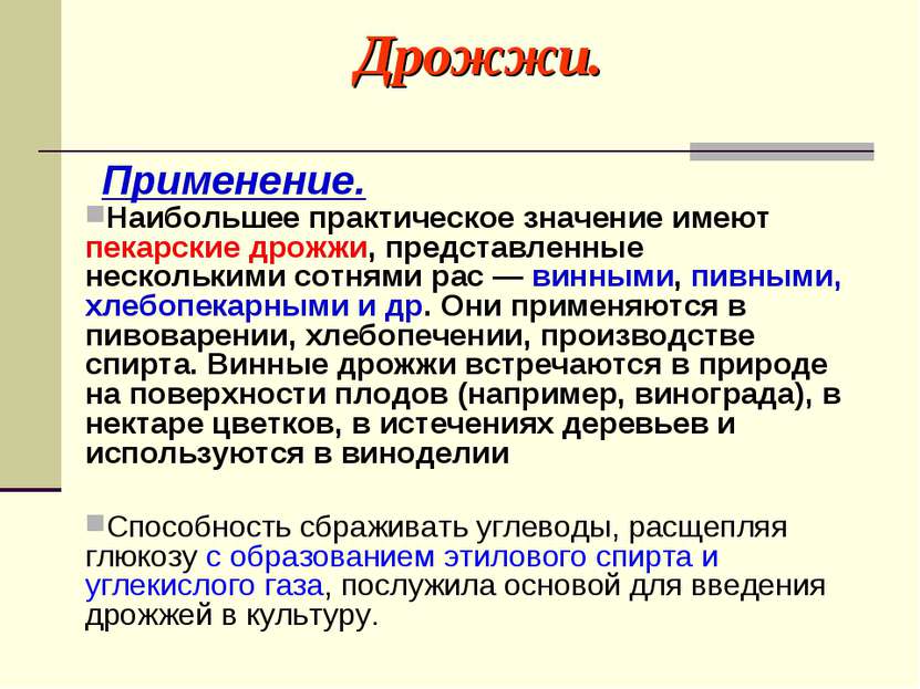 Дрожжи. Применение. Наибольшее практическое значение имеют пекарские дрожжи, ...