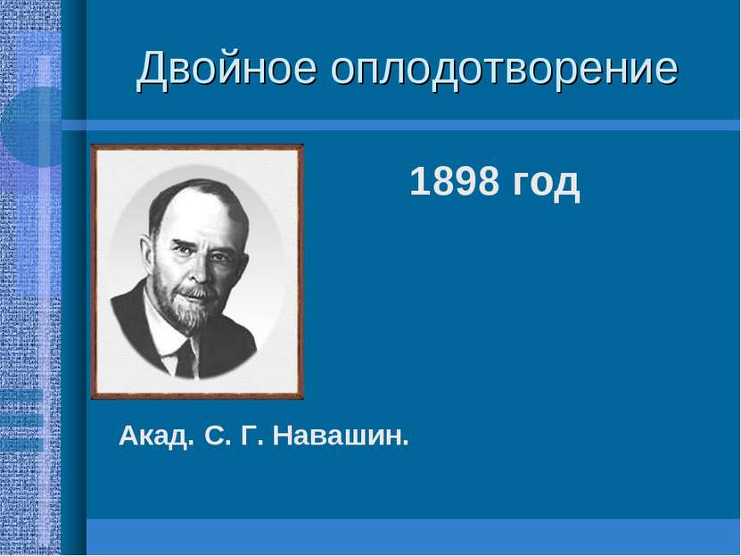 Двойное оплодотворение 1898 год Акад. С. Г. Навашин.