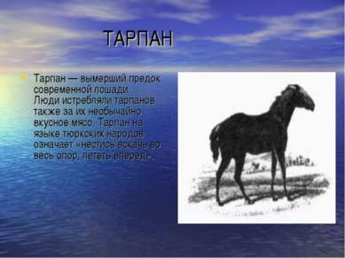 ТАРПАН Тарпан — вымерший предок современной лошади. Люди истребляли тарпанов ...