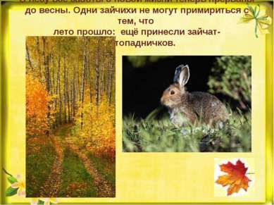 В лесу все заботы о новой жизни теперь прерваны до весны. Одни зайчихи не мог...