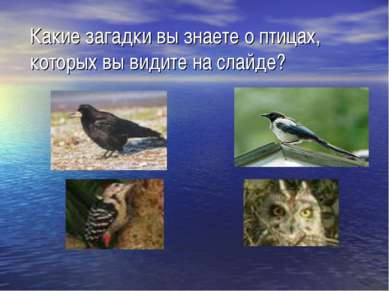 Какие загадки вы знаете о птицах, которых вы видите на слайде?