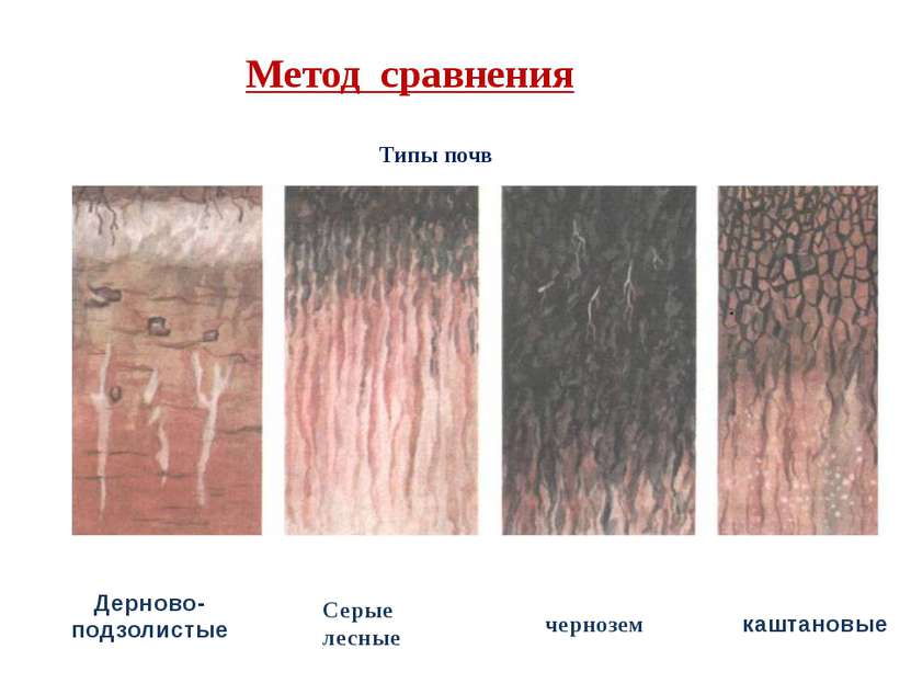 Метод сравнения Типы почв Дерново- подзолистые Серые лесные чернозем каштановые
