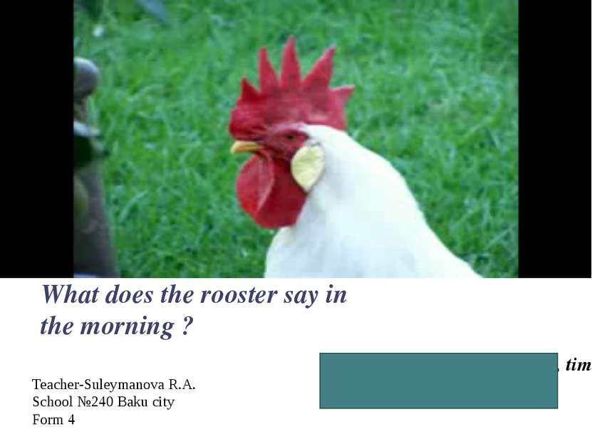 Good, morning! It is time, time to get up! What does the rooster say in the m...