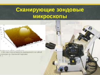 Сканирующие зондовые микроскопы Создают трехмерное изображение изучаемого объ...