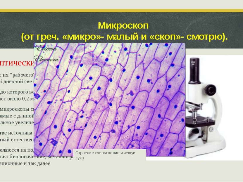 Микроскоп (от греч. «микро»- малый и «скоп»- смотрю). Оптические микроскопы В...