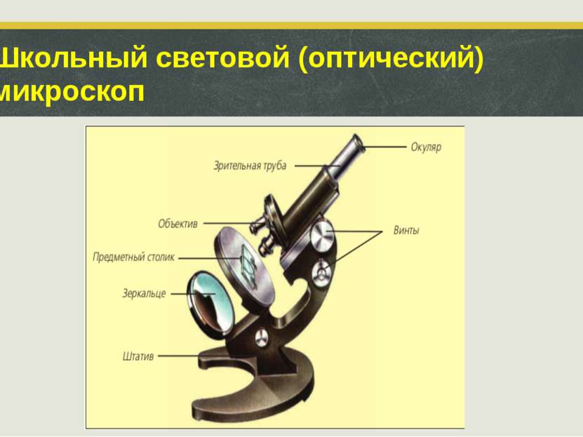 Школьный световой (оптический) микроскоп