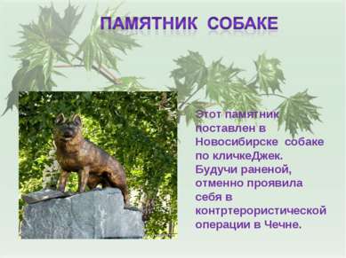 Этот памятник поставлен в Новосибирске собаке по кличкеДжек. Будучи раненой, ...