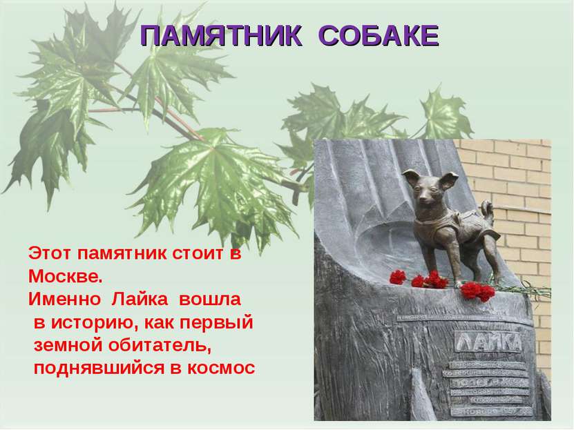 ПАМЯТНИК СОБАКЕ Этот памятник стоит в Москве. Именно Лайка вошла в историю, к...