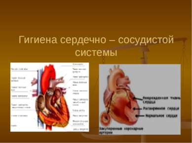 Гигиена сердечно – сосудистой системы