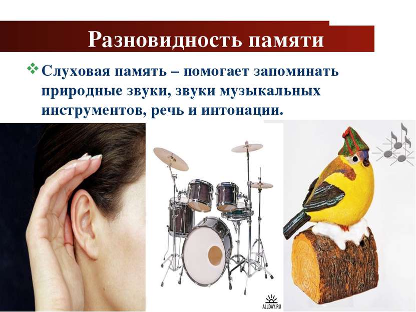 www.themegallery.com Company Logo Разновидность памяти Слуховая память – помо...