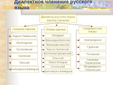 Диалектное членение русского языка