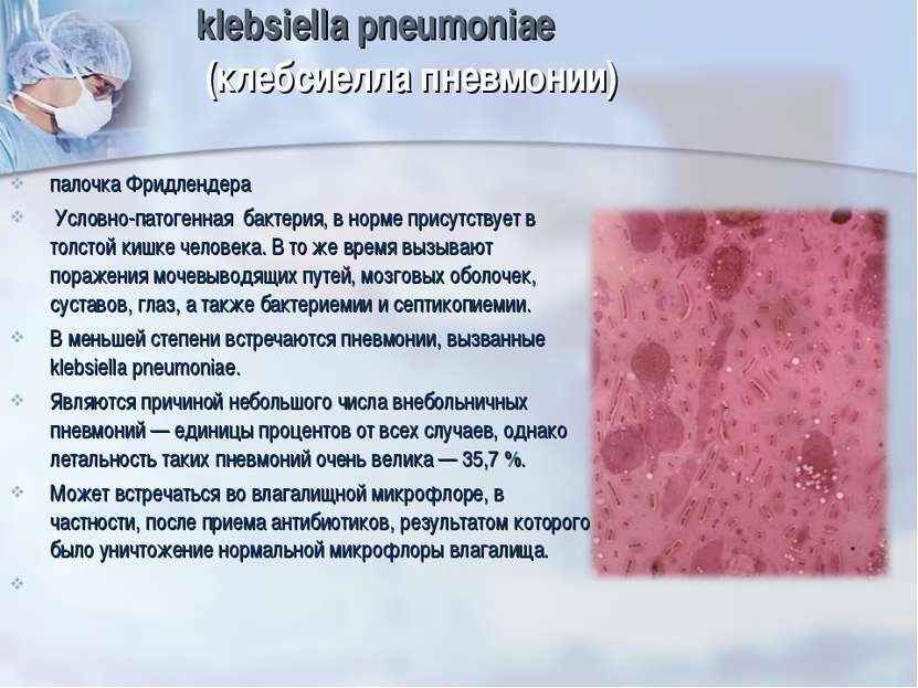 klebsiella pneumoniae (клебсиелла пневмонии) палочка Фридлендера Условно-пато...