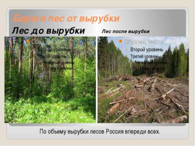 Береги лес от вырубки Лес до вырубки Лес после вырубки По объему вырубки лесо...