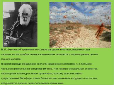В. И. Вернадский сравнивал массовые миграции животных, например стаи саранчи,...