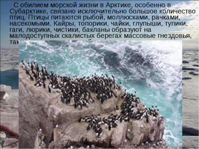 С обилием морской жизни в Арктике, особенно в Субарктике, связано исключитель...