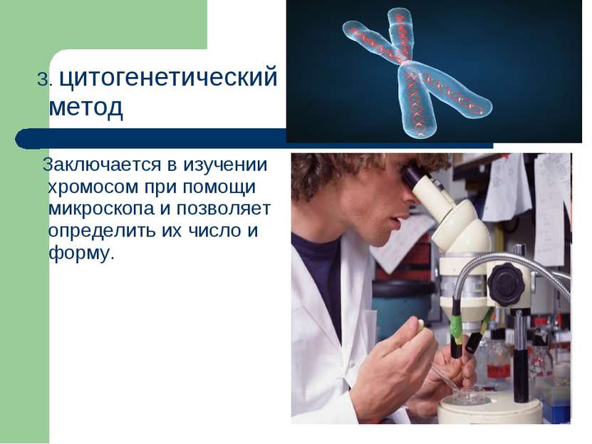 3. цитогенетический метод Заключается в изучении хромосом при помощи микроско...