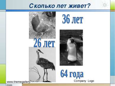 Сколько лет живет?