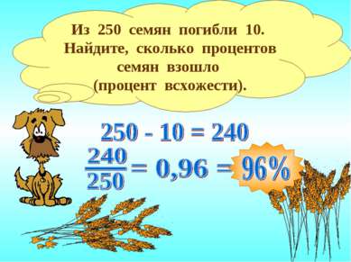 Из 250 семян погибли 10. Найдите, сколько процентов семян взошло (процент всх...