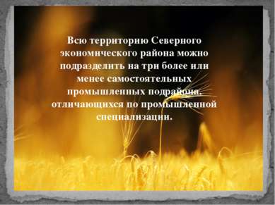 Всю территорию Северного экономического района можно подразделить на три боле...