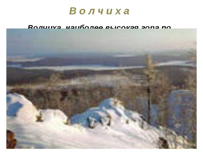 В о л ч и х а Волчиха, наиболее высокая гора по близости Екатеринбурга (высот...