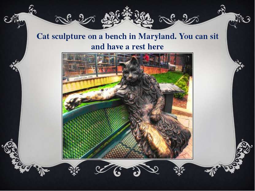 Cat sculpture on a bench in Maryland. You can sit and have a rest here