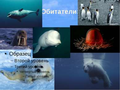Южный океан Хотя в России понятие Южного океана и не распространено и его тер...