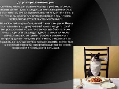 Дегустатор кошачьего корма Описание корма для вашего любимца в рекламе способ...