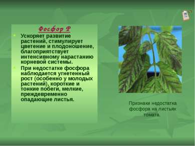 Фосфор Р Ускоряет развитие растений, стимулирует цветение и плодоношение, бла...