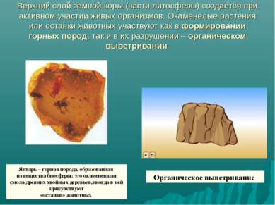 Верхний слой земной коры (части литосферы) создаётся при активном участии жив...