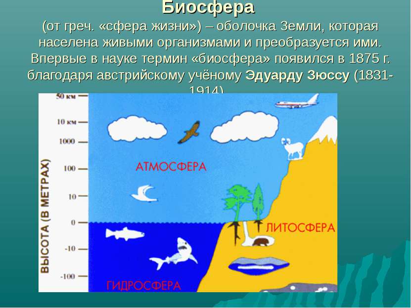 Биосфера (от греч. «сфера жизни») – оболочка Земли, которая населена живыми о...