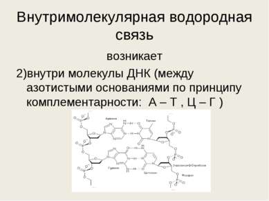 Внутримолекулярная водородная связь возникает 2)внутри молекулы ДНК (между аз...