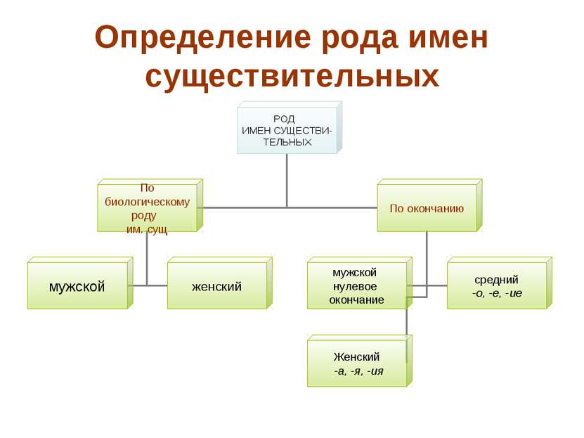 Определение рода имен существительных