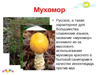 Мухомор Русское, а также характерное для большинства славянских языков, назва...
