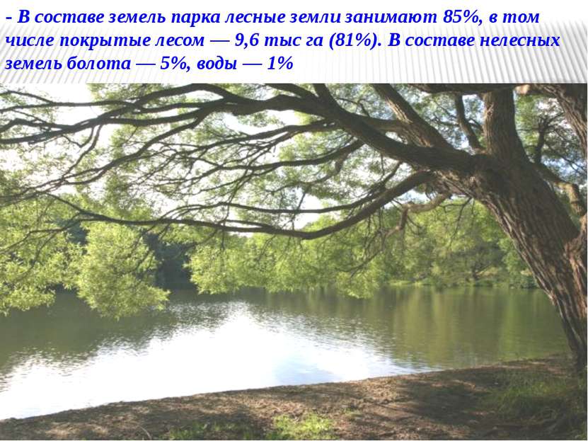 - В составе земель парка лесные земли занимают 85%, в том числе покрытые лесо...
