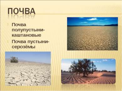Почва полупустыни- каштановые Почва пустыни- серозёмы