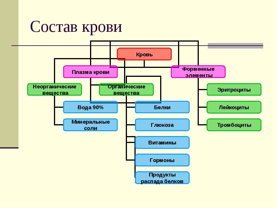 Состав 07. Состав крови схема. Схема состава крови по биологии 8 класс. Состав крови схема таблица. Состав крови схема 7 класс.