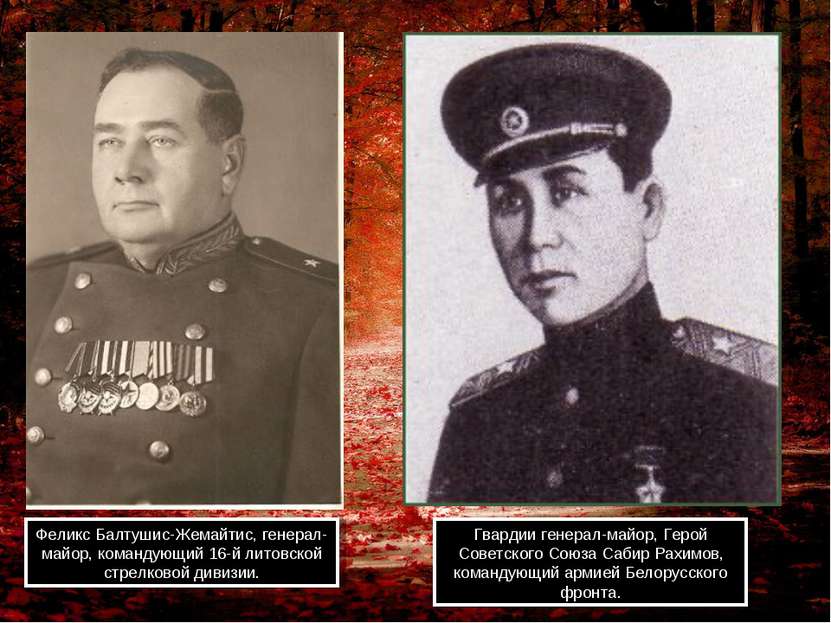 Феликс Балтушис-Жемайтис, генерал-майор, командующий 16-й литовской стрелково...