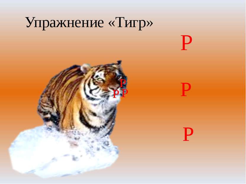 Р Р Р Р Р Р Упражнение «Тигр»