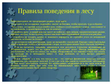 Правила поведения в лесу Перед выходом в лес предупредите родных, куда идете....