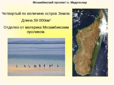 Мозамбикский пролив \ о. Мадагаскар Четвертый по величине остров Земли. Длина...