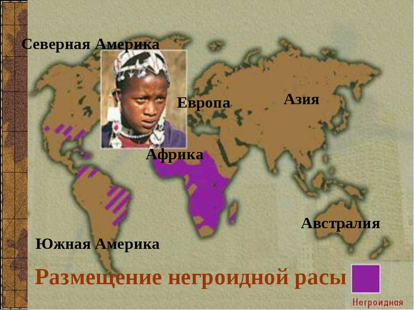 Размещение негроидной расы Северная Америка Южная Америка Азия Европа Африка ...