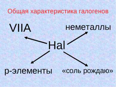 Общая характеристика галогенов Hal неметаллы VIIA «соль рождаю» р-элементы