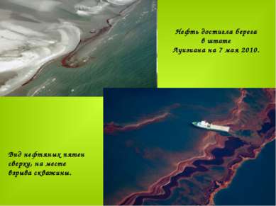 Нефть достигла берега в штате Луизиана на 7 мая 2010.                        ...