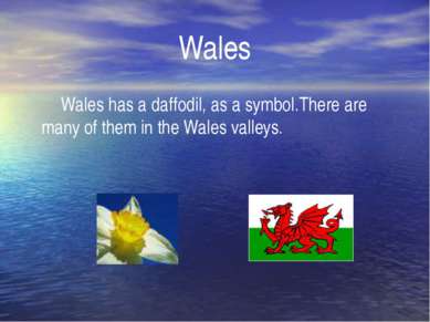 Wales Wales has a daffodil, as a symbol.There are many of them in the Wales v...