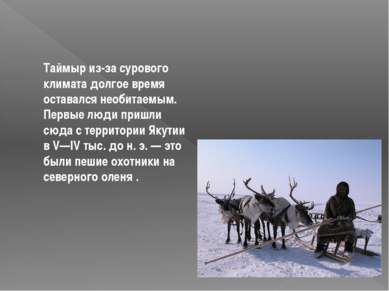 Таймыр из-за сурового климата долгое время оставался необитаемым. Первые люди...